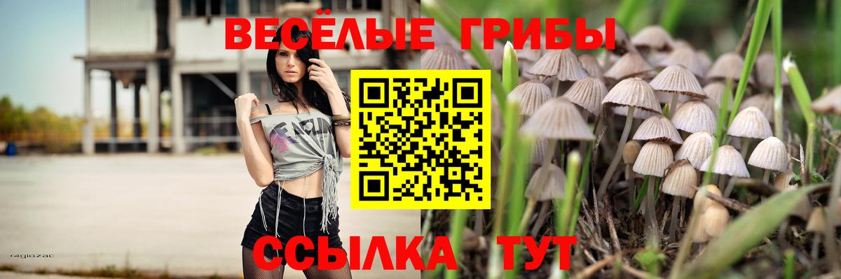 Псилоцибиновые грибы Psilocybe  Псилоцибиновые грибы Magic Shrooms  Вход с VPN  Куйбышев 